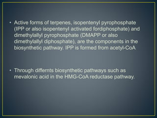 • Active forms of terpenes, isopentenyl pyrophosphate
(IPP or also isopentenyl activated fordiphosphate) and
dimethylallyl pyrophosphate (DMAPP or also
dimethylallyl diphosphate), are the components in the
biosynthetic pathway. IPP is formed from acetyl-CoA
• Through differnts biosynthetic pathways such as
mevalonic acid in the HMG-CoA reductase pathway.
 