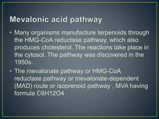 • Many organisms manufacture terpenoids through
the HMG-CoA reductase pathway, which also
produces cholesterol. The reactions take place in
the cytosol. The pathway was discovered in the
1950s.
• The mevalonate pathway or HMG-CoA
reductase pathway or mevalonate-dependent
(MAD) route or isoprenoid pathway , MVA having
formula C6H12O4
 