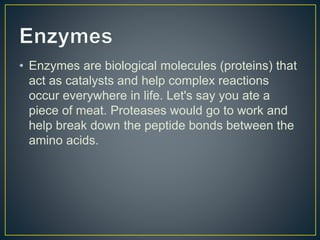 • Enzymes are biological molecules (proteins) that
act as catalysts and help complex reactions
occur everywhere in life. Let's say you ate a
piece of meat. Proteases would go to work and
help break down the peptide bonds between the
amino acids.
 