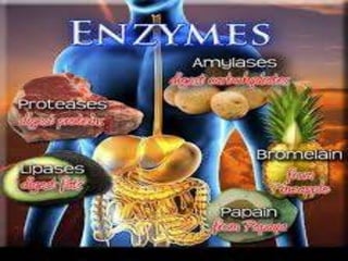 terpenes and enzymes