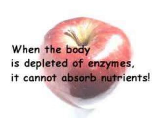 terpenes and enzymes