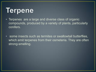 • Terpenes are a large and diverse class of organic
compounds, produced by a variety of plants, particularly
conifers.
• some insects such as termites or swallowtail butterflies,
which emit terpenes from their osmeteria. They are often
strong-smelling.
 