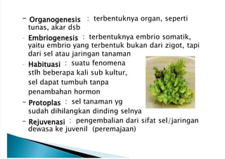 Kultur-Jaringan 4.pptx