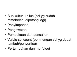 • Sub kultur kallus (sel yg sudah 
mmebelah, dipotong lagi) 
• Penyimpanan 
• Pengawetan 
• Pembekuan dan pencairan 
• Vaible sel count (perhitungan sel yg dapat 
tumbuh/penyortiran 
• Pertumbuhan dan morfologi 
 