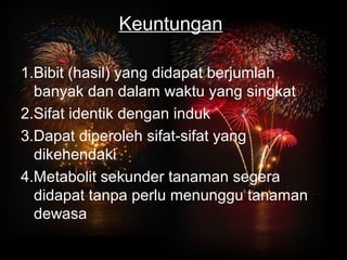 Keuntungan 
1.Bibit (hasil) yang didapat berjumlah 
banyak dan dalam waktu yang singkat 
2.Sifat identik dengan induk 
3.Dapat diperoleh sifat-sifat yang 
dikehendaki 
4.Metabolit sekunder tanaman segera 
didapat tanpa perlu menunggu tanaman 
dewasa 
 