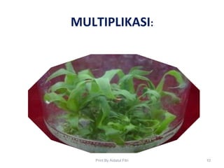 MULTIPLIKASI:
10Print By Aidatul Fitri
 