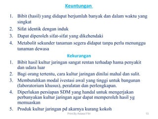 Keuntungan
1. Bibit (hasil) yang didapat berjumlah banyak dan dalam waktu yang
singkat
2. Sifat identik dengan induk
3. Dapat diperoleh sifat-sifat yang dikehendaki
4. Metabolit sekunder tanaman segera didapat tanpa perlu menunggu
tanaman dewasa
Kekurangan
1. Bibit hasil kultur jaringan sangat rentan terhadap hama penyakit
dan udara luar
2. Bagi orang tertentu, cara kultur jaringan dinilai mahal dan sulit.
3. Membutuhkan modal ivestasi awal yang tinggi untuk bangunan
(laboratorium khusus), peralatan dan perlengkapan.
4. Diperlukan persiapan SDM yang handal untuk mengerjakan
perbanyakan kultur jaringan agar dapat memperoleh hasil yg
memuaskan
5. Produk kultur jaringan pd akarnya kurang kokoh
13Print By Aidatul Fitri
 