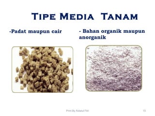 Tipe Media Tanam
-Padat maupun cair - Bahan organik maupun
anorganik
15Print By Aidatul Fitri
 
