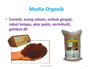 Media Organik
• Contoh: arang sekam, serbuk gergaji,
sabut kelapa, akar pakis, vermikulit,
gambut dll
18Print By Aidatul Fitri
 