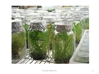 2Print By Aidatul Fitri
 