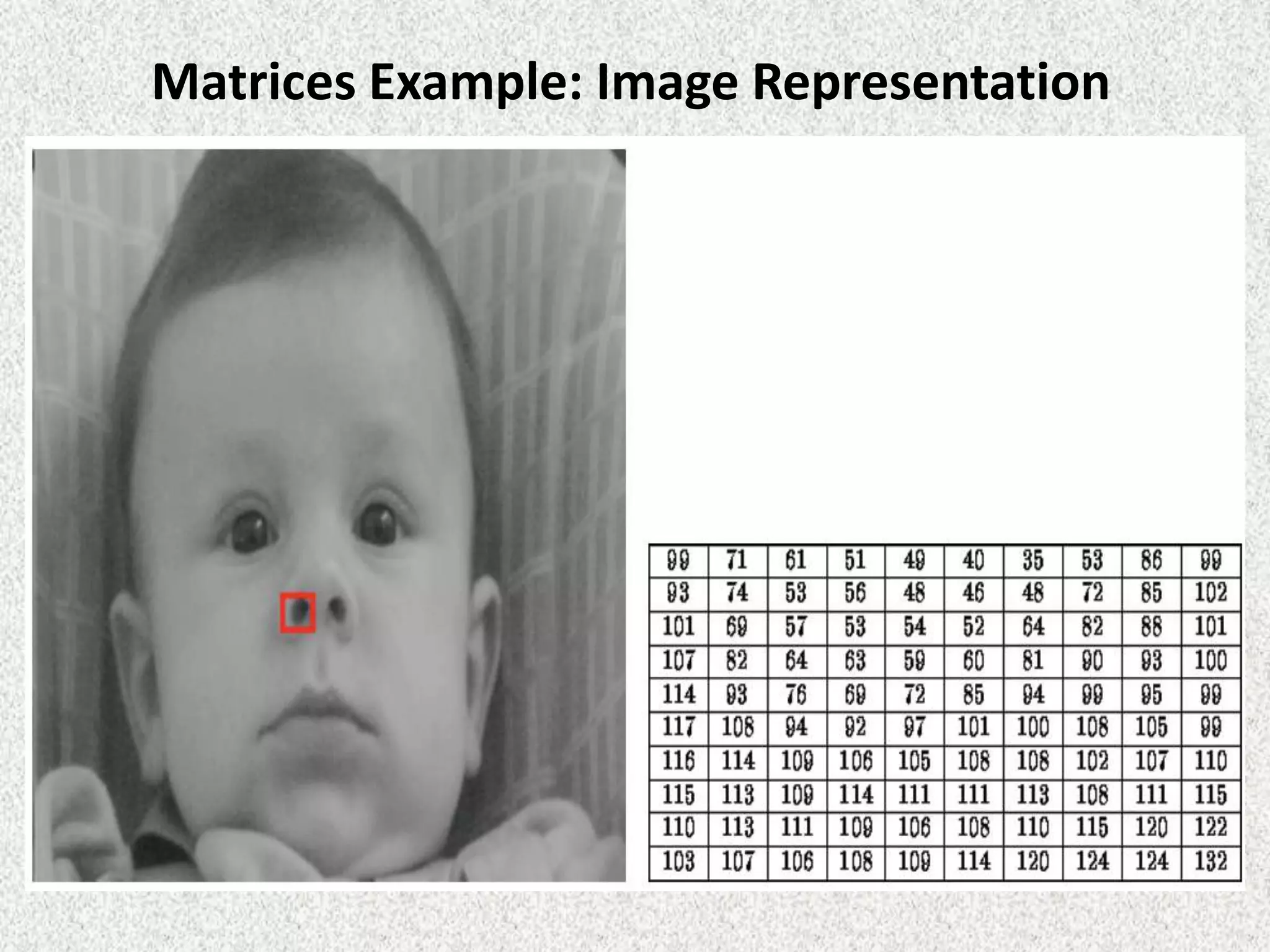 Matrices Example: Image Representation

 