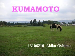 KUMAMOTO 13106210  Akiko Oshima 