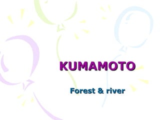 KUMAMOTO Forest & river 