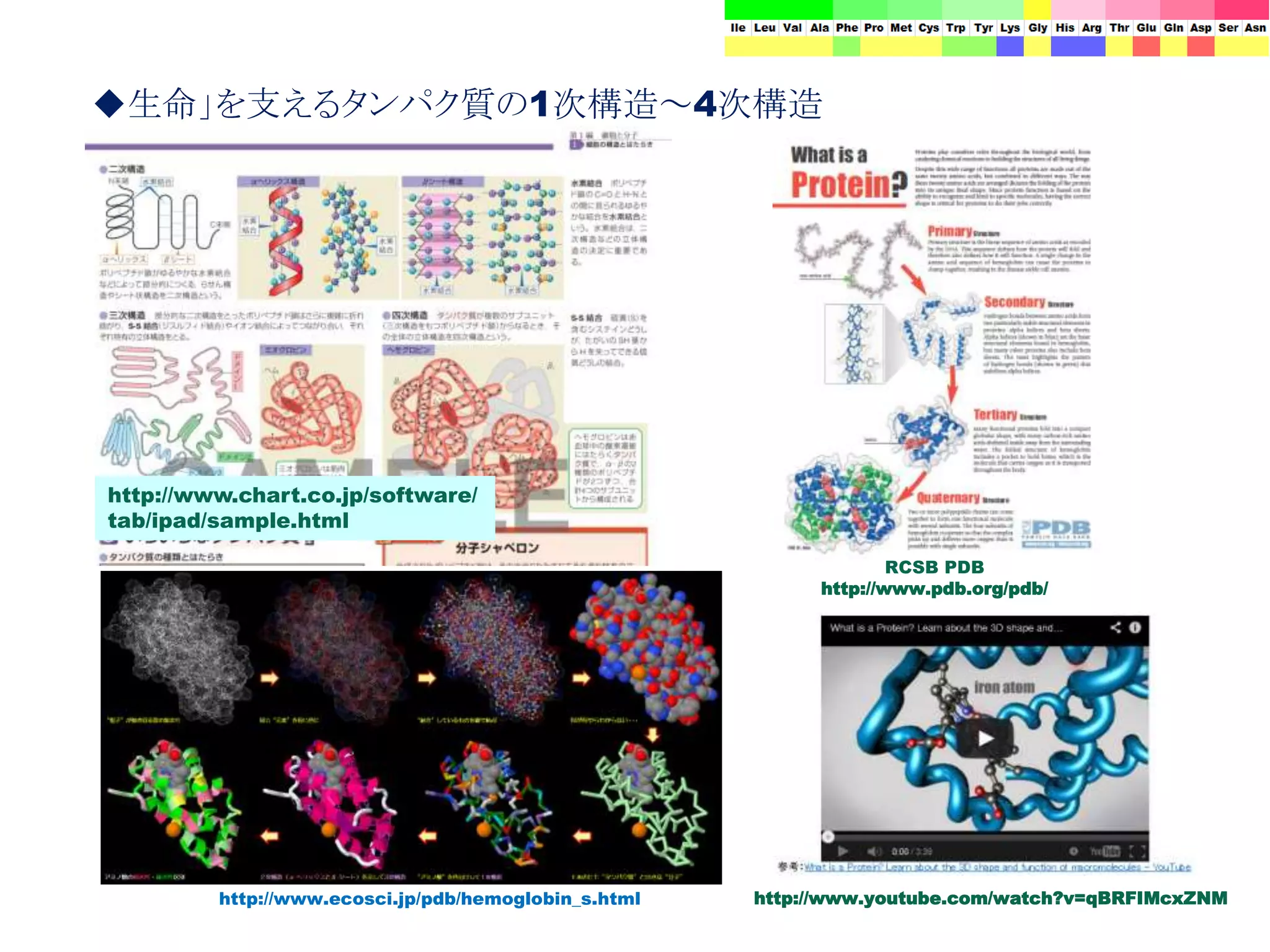 ◆生命」を支えるタンパク質の1次構造～4次構造
http://www.youtube.com/watch?v=qBRFIMcxZNM
http://www.chart.co.jp/software/
tab/ipad/sample.html
RCSB PDB
http://www.pdb.org/pdb/
http://www.ecosci.jp/pdb/hemoglobin_s.html
 