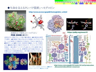 画期的分子模型；ヒトヘモグロビン
PDB 2HHB（4量体）
http://www.ecosci.jp/pdb/hemoglobin_s.html
高校化学・生物でタンパク質の1次構造～4次構造を説明
する際に，4次構造で例示されるのが通例ヘモグロビンであ
る。ヘムの鉄原子に酸素分子が結合して体中に運ばれる。
4量体でヘムも4分子あり，効率的に機能している。写真の
ように4量体が磁石で接合できるので，サイエンスアゴラや
各地の一般公開イベントでこども達にもパズル感覚で組立
てを楽しんでもらっている。新模型はまだ高価であるが，共
同購入などで高校理科室に一括で備えるようなことを企画
すれば安くなる可能性もあろう。
http://www.rcsb.org/pdb/101/static101.do?p=education
_discussion/educational_resources/
https://pdbj.org/mom/41
◆生命を支えるタンパク質群；ヘモグロビン
チューブワーム由来ヘモグロビン（24量体）
とヒトのヘモグロビン（4量体）の比較
 
