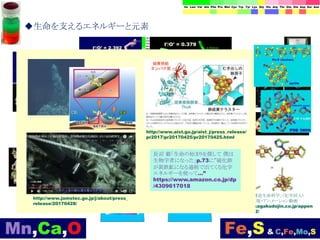 ◆生命を支えるエネルギーと元素
http://www.ecosci.jp/s/bm_m_ps.html
http://www.ecosci.jp/s/bm_m_SF4.html
●「見てわかる構造生命科学」（化学同人）
フルカラー図版・アニメーション動画
http://www.kagakudojin.co.jp/appen
dices/c20092/
生命活動に必要なエネルギーの確保：Mn4CaO5クラスター
“歪んだ椅子”とFe-Sクラスター - 水（親水性）と油（疎水性）
で考える http://www.aist.go.jp/aist_j/press_release/
pr2017/pr20170425/pr20170425.html
http://www.jamstec.go.jp/j/about/press_
release/20170428/
長沼 毅「生命の始まりを探して 僕は
生物学者になった」p.73に“硫化鉄
が黄鉄鉱になる過程で出てくる化学
エネルギーを使って…”
https://www.amazon.co.jp/dp
/4309617018
 