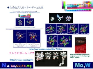 ◆生命を支えるエネルギーと元素
http://www.ecosci.jp/s/Mo_W.html
http://www.sankyoshuppan.
co.jp/products/detail.php?pr
oduct_id=637
http://www.ecosci.jp/N/
テトラピロールって?
 