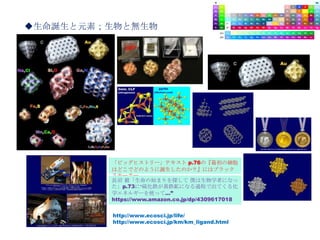 「ビッグヒストリー」テキスト p.76の『最初の細胞
はどこでどのように誕生したのか？』にはブラック
スモーカー。
http://www.ecosci.jp/life/
http://www.ecosci.jp/km/km_ligand.html
長沼 毅「生命の始まりを探して 僕は生物学者になっ
た」p.73に“硫化鉄が黄鉄鉱になる過程で出てくる化
学エネルギーを使って…”
https://www.amazon.co.jp/dp/4309617018
◆生命誕生と元素；生物と無生物
 