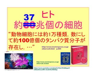 ヒト
約60兆個の細胞
“動物細胞には約1万種類，数にし
て約100億個のタンパク質分子が
存在し，…” http://www.newtonpress.co.jp/
other/cell.html p.695
37
https://www.youtube.com/playlist?list=PLRSzpxV
n06du0CsLsW5-v2xZh4LX9DAkp
http://www.newtonpress.co.jp/
other/cell_6.html
 