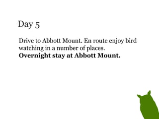 Day 5 Drive to Abbott Mount. En route enjoy bird watching in a number of places.  Overnight stay at Abbott Mount. 