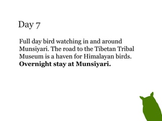 Day 7 Full day bird watching in and around Munsiyari. The road to the Tibetan Tribal Museum is a haven for Himalayan birds.  Overnight stay at Munsiyari. 