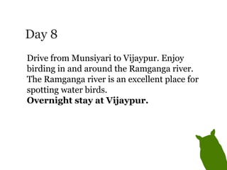 Day 8 Drive from Munsiyari to Vijaypur. Enjoy birding in and around the Ramganga river. The Ramganga river is an excellent place for spotting water birds.  Overnight stay at Vijaypur. 