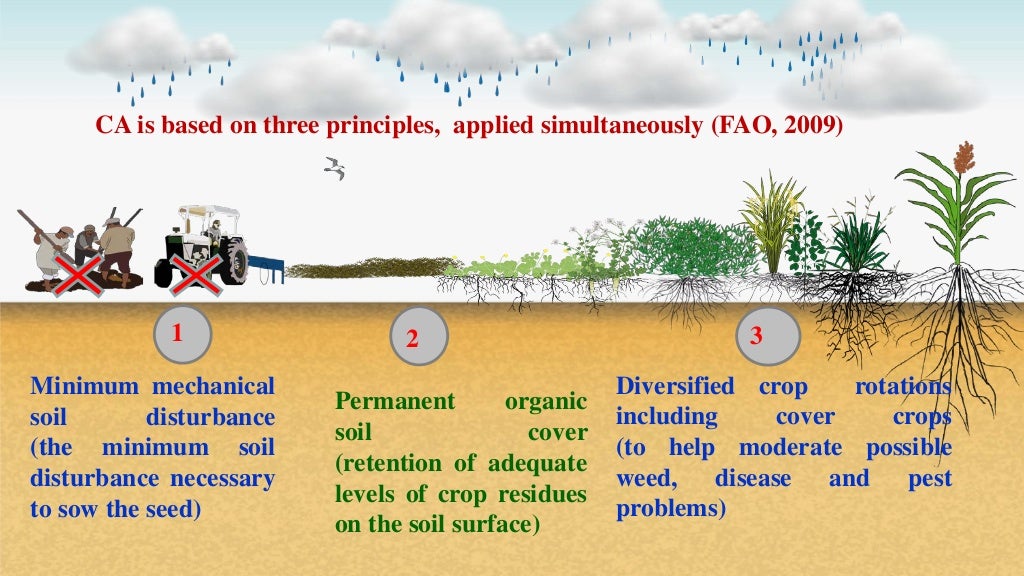 Quantify the soil health indicators under conservation agricultural p…