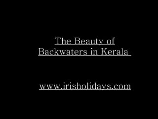 www.irisholidays.com The Beauty of Backwaters in Kerala  