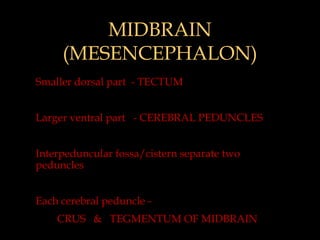 MIDBRAIN
     (MESENCEPHALON)
Smaller dorsal part - TECTUM


Larger ventral part - CEREBRAL PEDUNCLES


Interpeduncular fossa/cistern separate two
peduncles


Each cerebral peduncle -
    CRUS & TEGMENTUM OF MIDBRAIN
 
