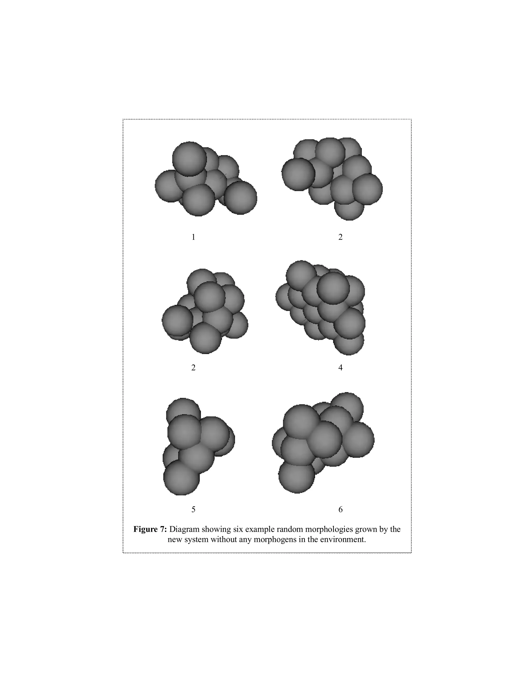 1

2

2

4

5

6

Figure 7: Diagram showing six example random morphologies grown by the
new system without any morphogens in the environment.

 