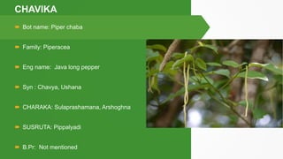 KUMARYASAVAM YOGAVICHAARAM- Dr. ARCHANA ASOK | PPTX
