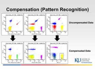 Kumc introduction to flow cytometry | PPTX