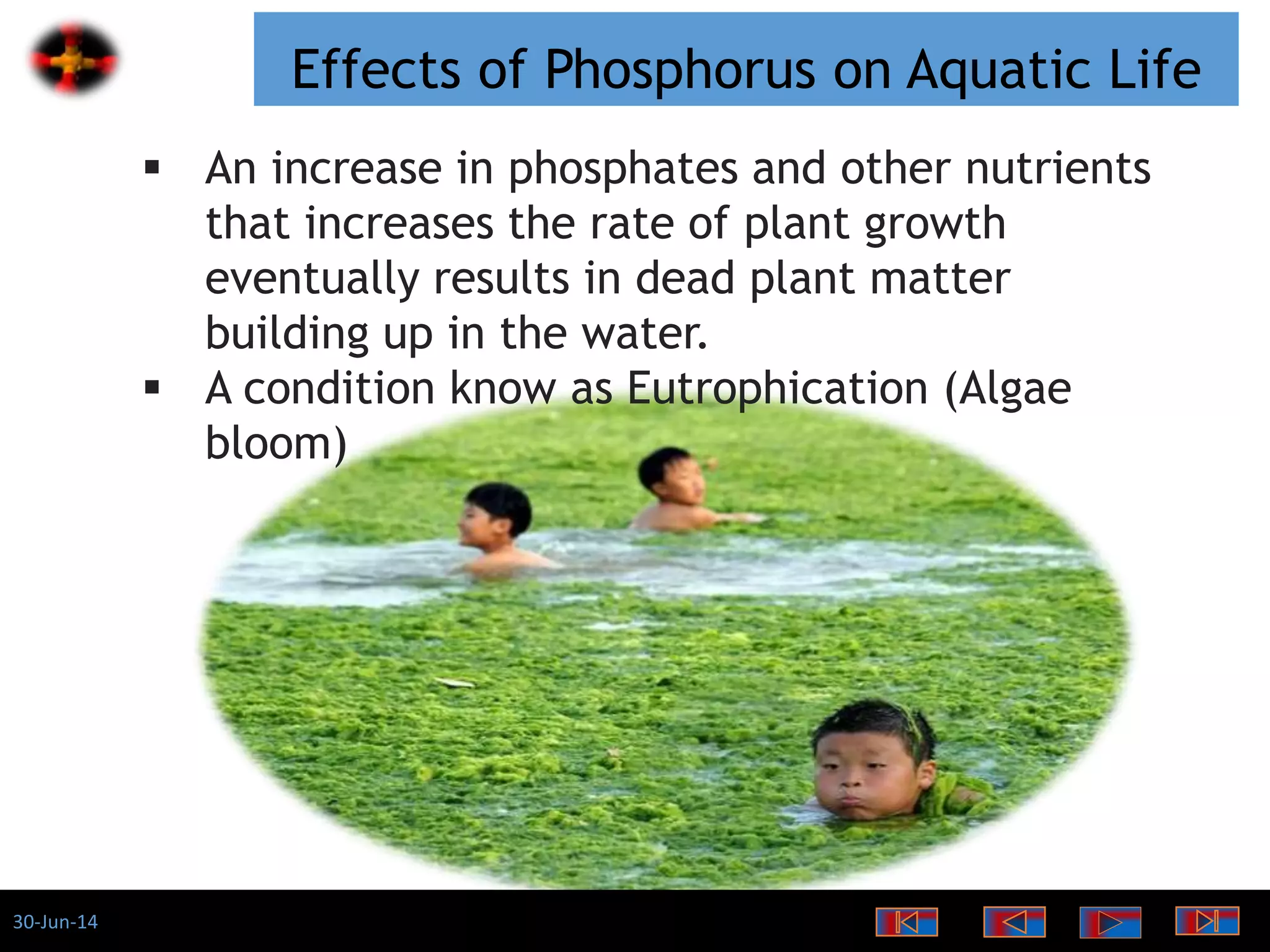 30-Jun-14
Effects of Phosphorus on Aquatic Life
 An increase in phosphates and other nutrients
that increases the rate of plant growth
eventually results in dead plant matter
building up in the water.
 A condition know as Eutrophication (Algae
bloom)
 