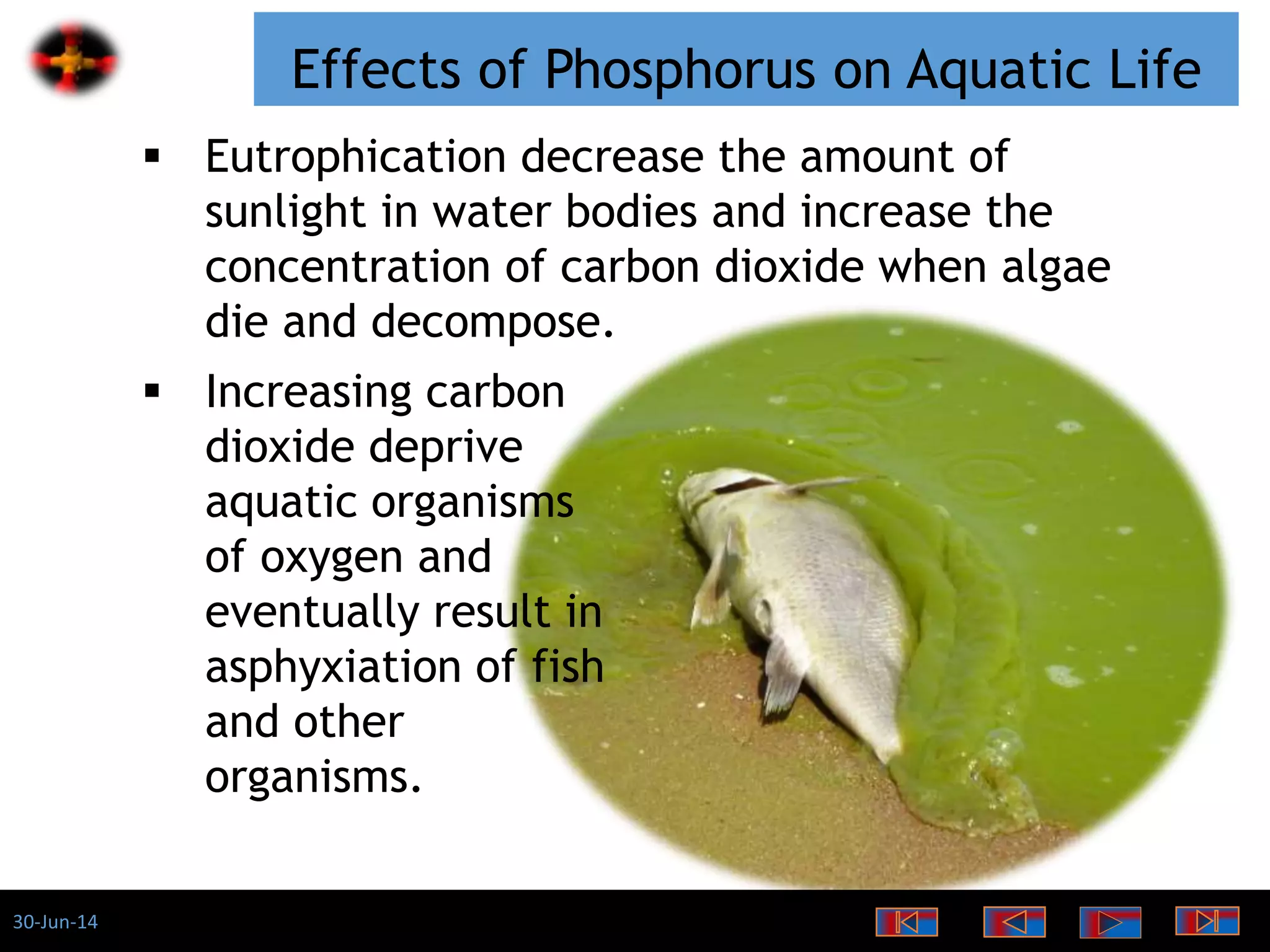 30-Jun-14
Effects of Phosphorus on Aquatic Life
 Eutrophication decrease the amount of
sunlight in water bodies and increase the
concentration of carbon dioxide when algae
die and decompose.
 Increasing carbon
dioxide deprive
aquatic organisms
of oxygen and
eventually result in
asphyxiation of fish
and other
organisms.
 