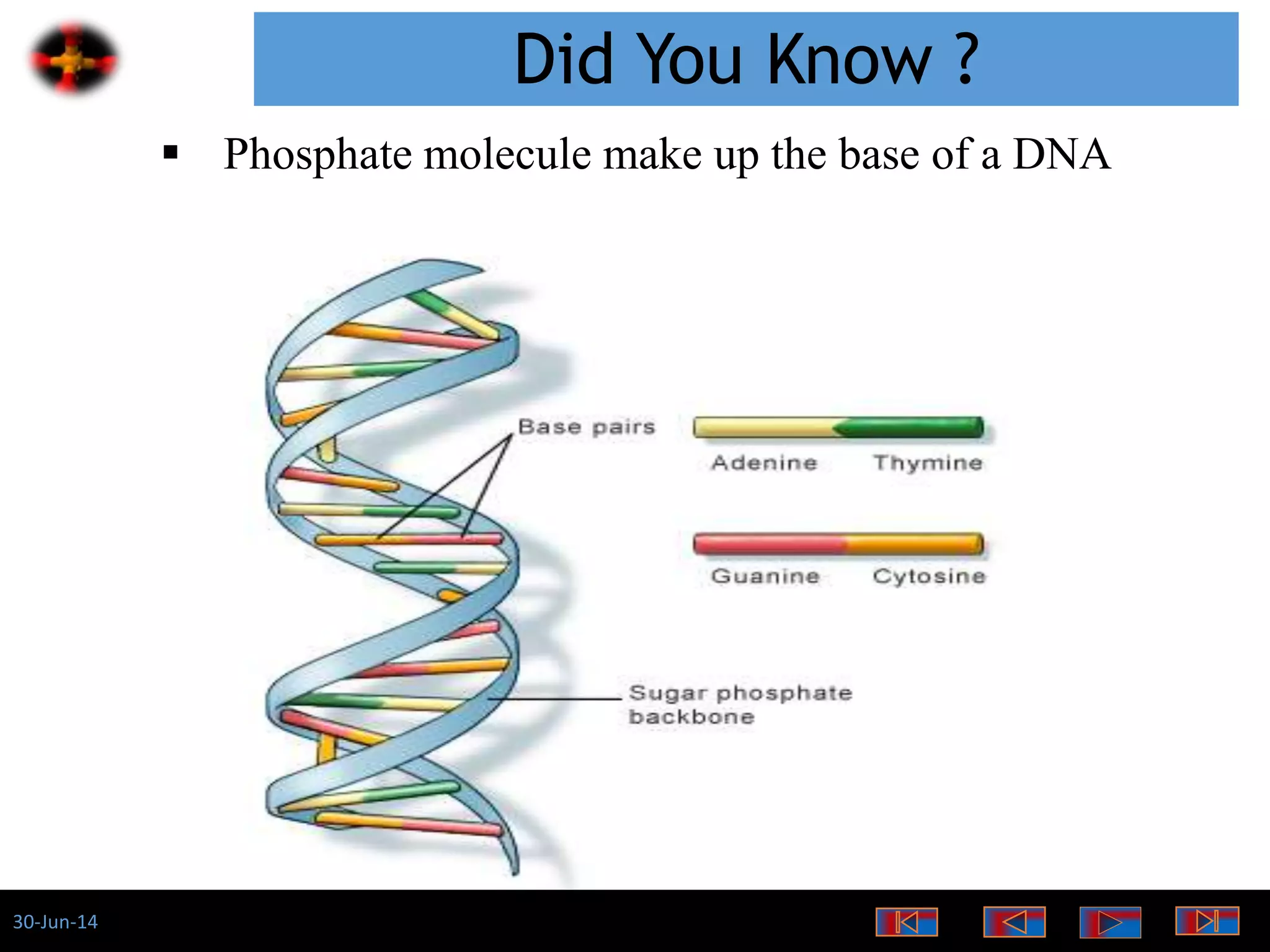 30-Jun-14
Did You Know ?
 Phosphate molecule make up the base of a DNA
 