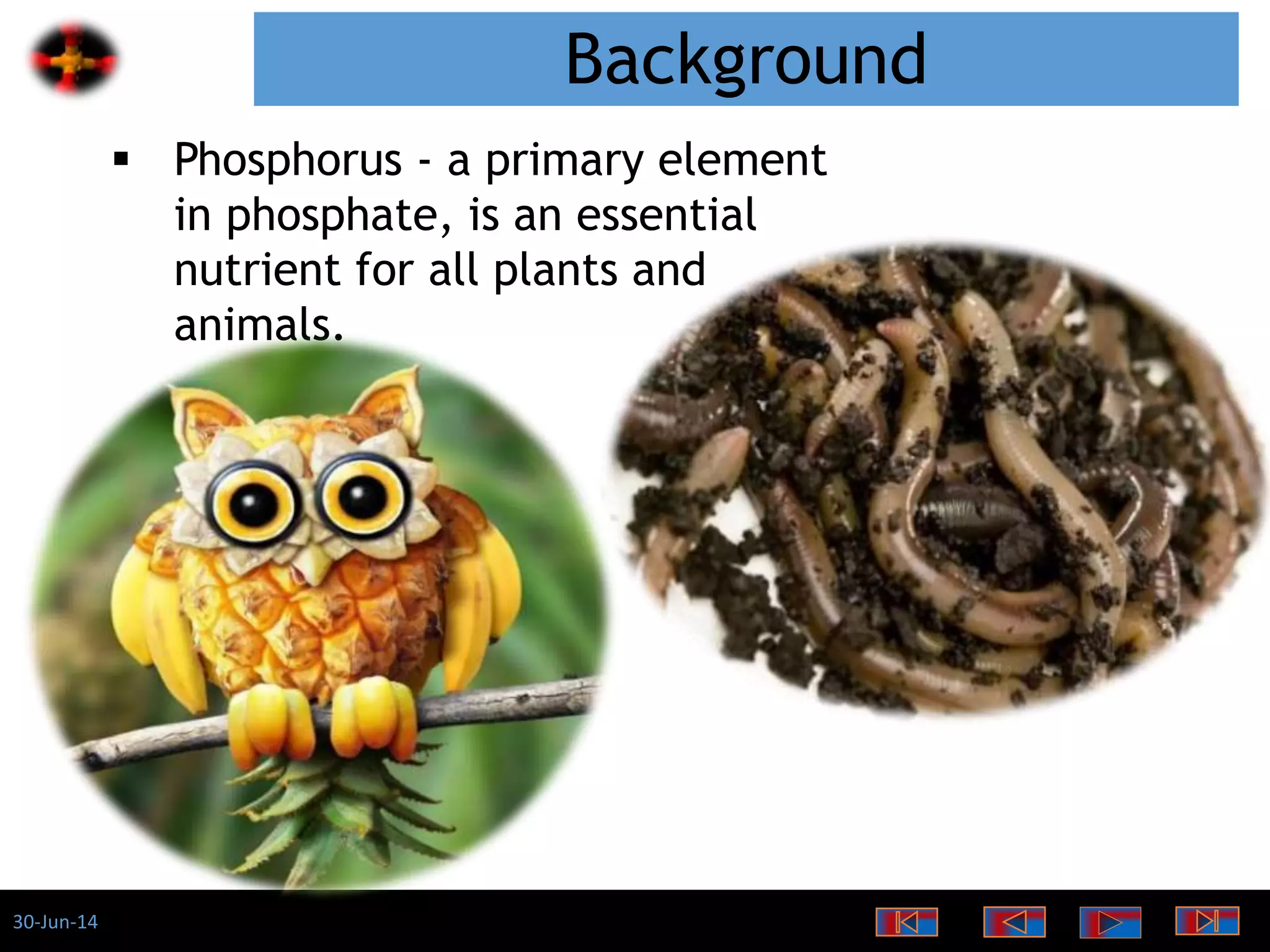 30-Jun-14
Background
 Phosphorus - a primary element
in phosphate, is an essential
nutrient for all plants and
animals.
 