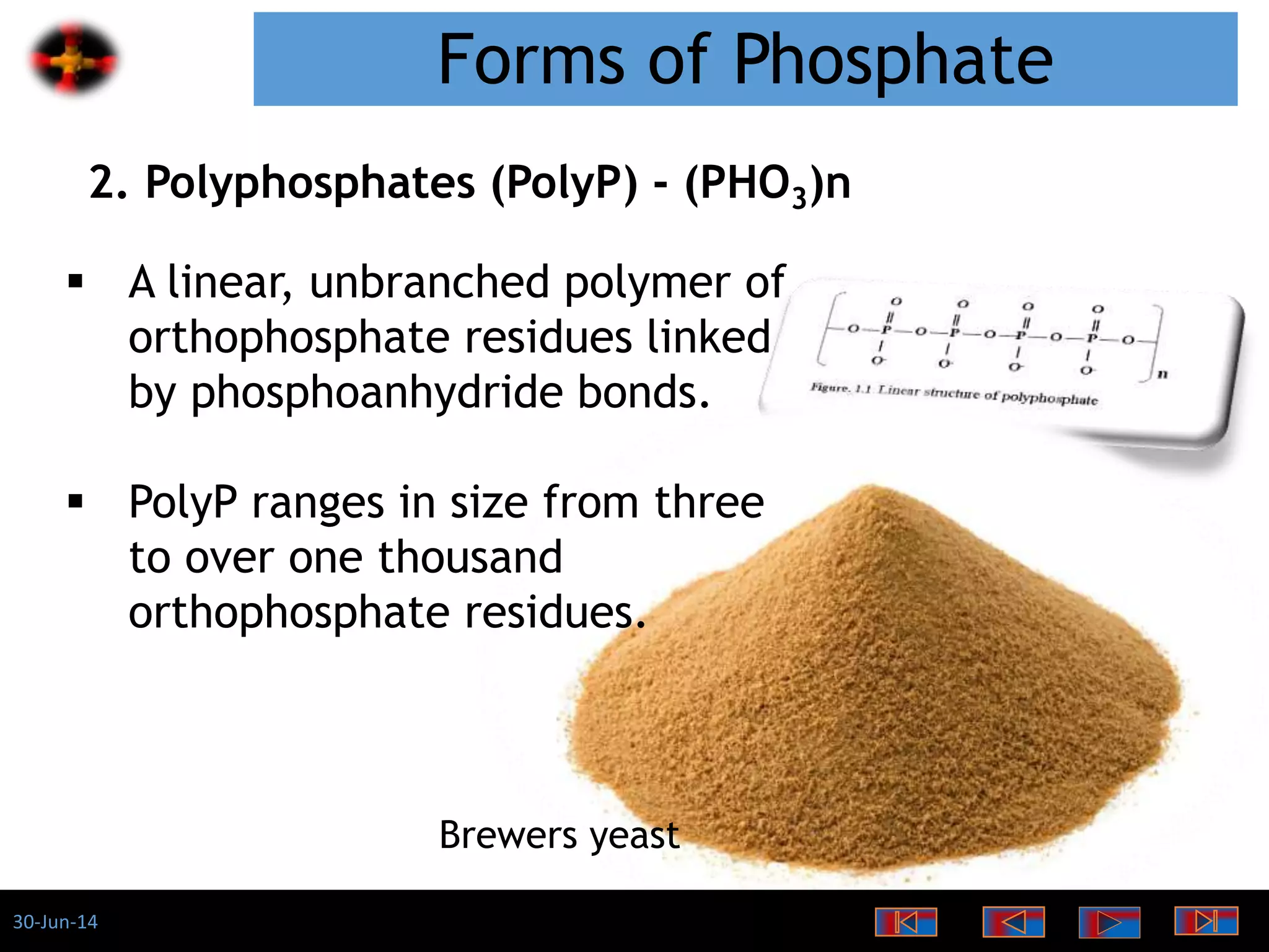 30-Jun-14
Forms of Phosphate
2. Polyphosphates (PolyP) - (PHO3)n
 A linear, unbranched polymer of
orthophosphate residues linked
by phosphoanhydride bonds.
 PolyP ranges in size from three
to over one thousand
orthophosphate residues.
Brewers yeast
 