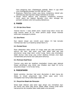 hama penggulung daun (Cnaphalocrocis medinalis). Bahan ini juga efektif
untuk menanggulangi serangan virus RSV, GSV dan Tungro.
5) Bengkuang (Pachyrrhizus erosus) yang bijinya mengandung rotenoid yaitu
pakhirizida yang dapat digunakan sebagai insektisida dan larvasida.
6) Jeringau (Acorus calamus) yang rimpangnya mengandung komponen
utama asaron dan biasanya digunakan untuk racun serangga dan
pembasmi cendawan, serta hama gudang Callosobrocus.
8. PANEN
8.1. Ciri dan Umur Panen
Tanaman berumur 1 bulan setelah tanam, tangkai bunga belum muncul dan
tinggi tanaman sekitar 50 cm. Panen pertama jangan sampai terlambat
karena akan mempengaruhi produksi.
8.2. Cara Panen
Daun dipanen dengan cara memetik pucuk bedaun 3-5 helai kemudian
merempal daun-daun tua di bawahnya sampai helai ke 10.
8.3. Periode Panen
Panen dilaksanakan dalam periode 2-3 minggu sekali yaitu pada pertumbuhan
optimum dari daun. Saat panen yang tepat adalah pada saat awal
pertumbuhan bunga tetapi belum tumbuh bunga. Karena yang dimanfaatkan
adalah daunnya maka bunga yang tumbuh sebaiknya dirompes untuk dapat
memaksimalkan pertumbuhan daun pada panen berikutnya.
8.4. Perkiraan Hasil Panen
Tanaman yang sehat dan terpelihara menghasilkan rimpang segar sebanyak
Dengan pemeliharaan yang intensif, akan dihasilkan daun basah 6-9 ton/ha
yang setara dengan 1-2 ton/ha daun kering.
9. PASCAPANEN
Setelah pemetikan, daun-daun hasil panen dikumpulkan di dalam karung dan
dibawa ke tempat pengumpulan hasil. Proses pasca panen untuk
mendapatkan daun kering kualitas ekspor adalah sbb:
9.1. Penyortiran Basah dan Pencucian
Sortasi basah dilakukan pada bahan segar dengan cara memisahkan daun
dari kotoran atau bahan asing lainnya. Setelah selesai, timbang jumlah bahan
hasil penyortiran dan tempatkan dalam wadah plastik untuk pencucian.
 