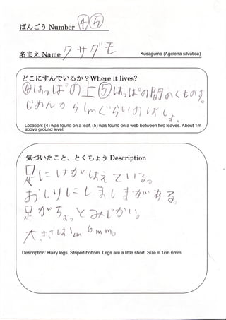 Spider Research in Tokyo / くものけんきゅう