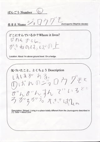 Spider Research in Tokyo / くものけんきゅう