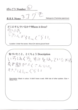 Spider Research in Tokyo / くものけんきゅう