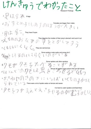 Spider Research in Tokyo / くものけんきゅう