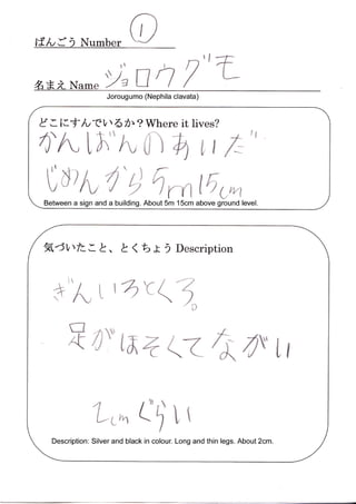 Spider Research in Tokyo / くものけんきゅう