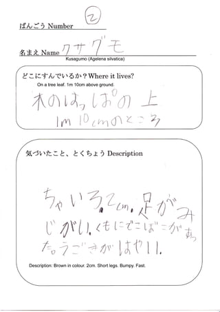 Spider Research in Tokyo / くものけんきゅう