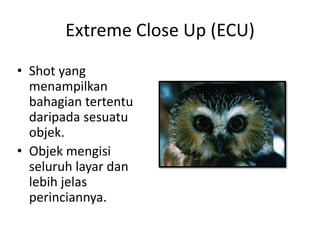 Extreme Close Up (ECU)
• Shot yang
  menampilkan
  bahagian tertentu
  daripada sesuatu
  objek.
• Objek mengisi
  seluruh layar dan
  lebih jelas
  perinciannya.
 