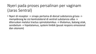 Nyeri pada proses persalinan per vaginam
(Jaras Sentral)
• Nyeri di reseptor -> sinaps pertama di dorsal substansia grisea ->
menyebrang ke sisi kontralateral di ventral substansia alba ->
diteruskan melalui tractus spinotalamikus -> thalamus, batang otak,
serebelum -> hipotalamus, system limbik (pusat respons emosional
dan otonom)
 