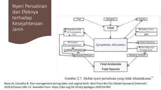 Nyeri Persalinan
dan Efeknya
terhadap
Kesejahteraan
Janin
Nanji JA, Carvalho B. Pain management during labor and vaginal birth. Best Pract Res Clin Obstet Gynaecol [Internet].
2020;67(xxxx):100–12. Available from: https://doi.org/10.1016/j.bpobgyn.2020.03.002
 