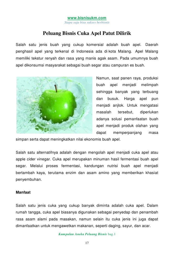 Kumpulan Aneka Peluang Bisnis