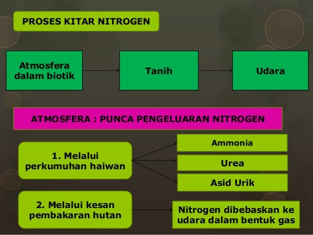 Geografi Stpm Penggal3 Kitar Nutrien Dalam Ekosistem