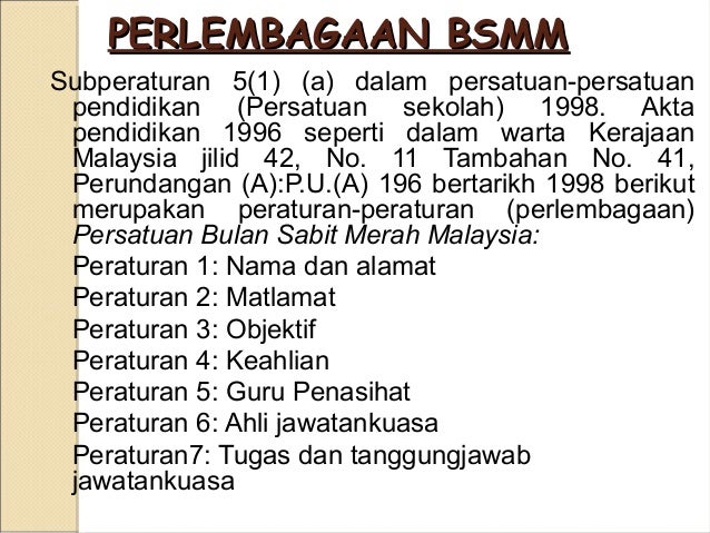 Kumpulan 3 perlembagaan pertubuhan bsmm